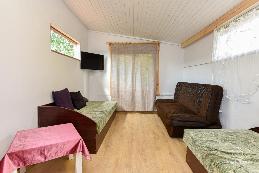 Holiday in Palanga in wooden cabins, campers, tents (spec. prices for groups)