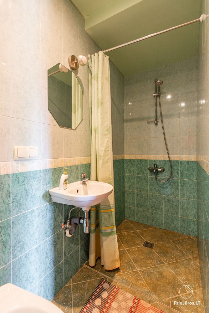 Wooden Houses, apartments for rent Vyto Sodyba