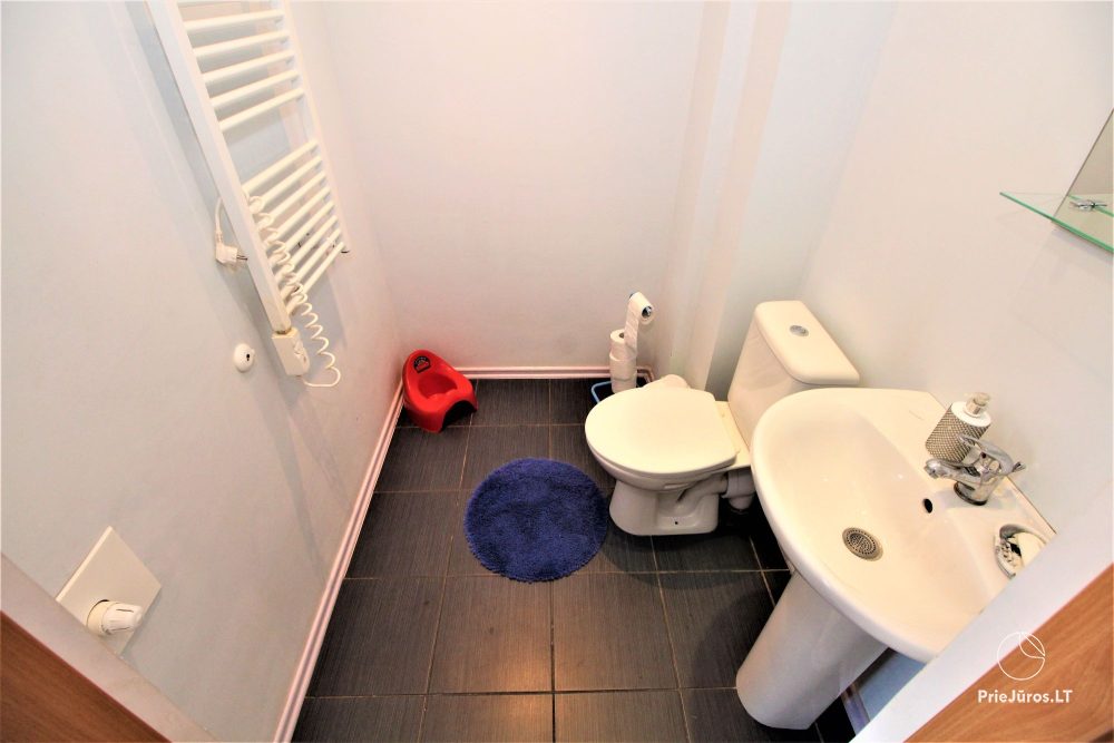 Holiday Cottage Rent in Sventoji (up to 10 persons)