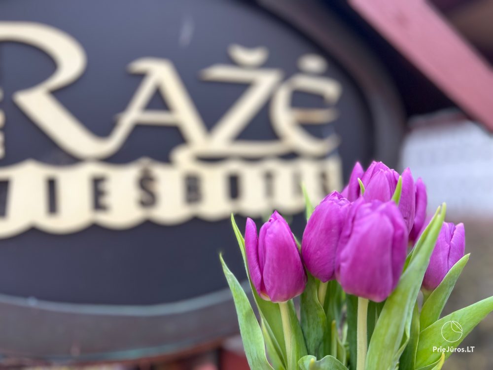 Hotel in Palanga Raze***