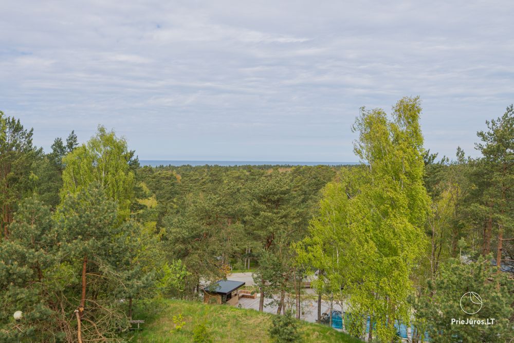 Nidos Ruta - Apartments for rent in Nida