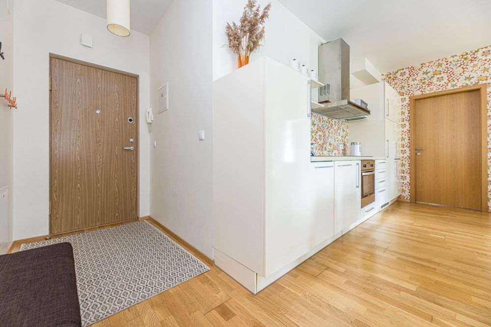 Modern 2-room Apartment 24 in Palanga 500 m to the sea