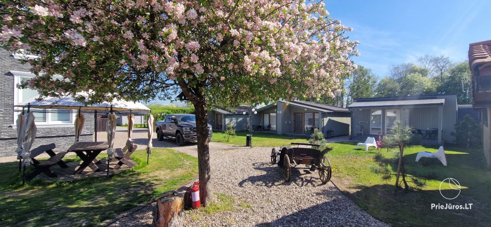 Fetingas - wooden houses and guest house on the river bank