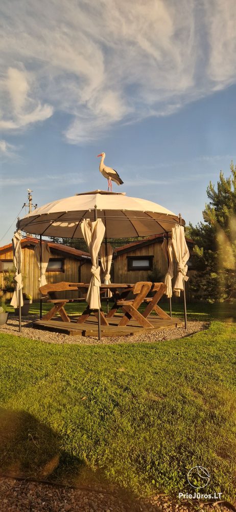Fetingas - wooden houses and guest house on the river bank