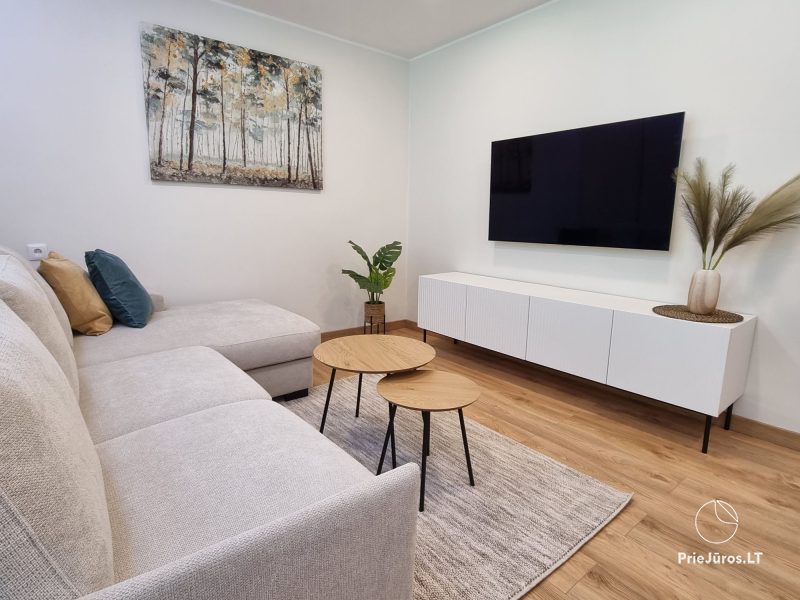 Newly renovated apartment for rent in Juodkrantė