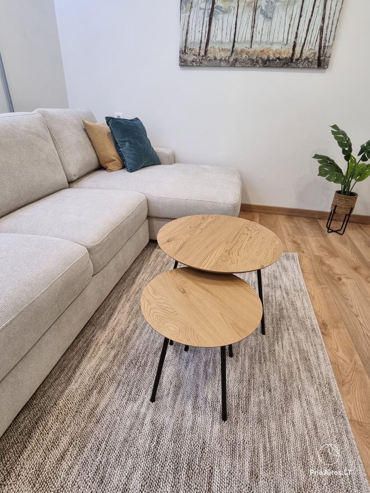 Newly renovated apartment for rent in Juodkrantė