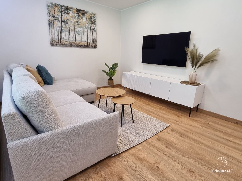 Newly renovated apartment for rent in Juodkrantė