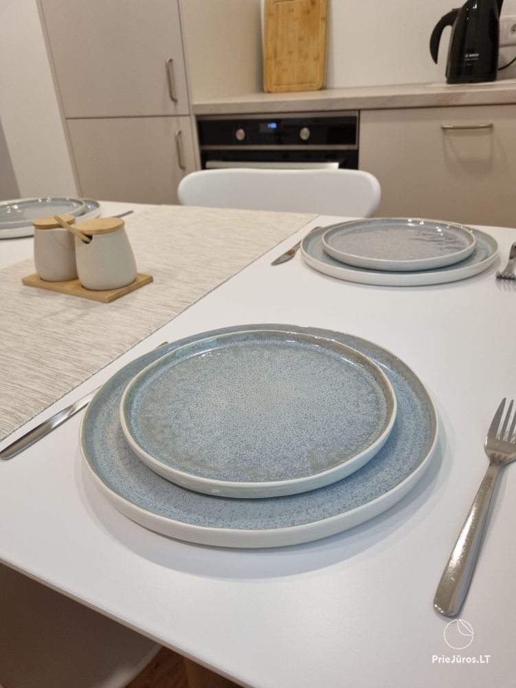 Newly renovated apartment for rent in Juodkrantė