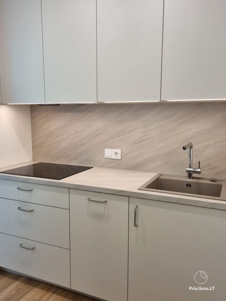 Newly renovated apartment for rent in Juodkrantė