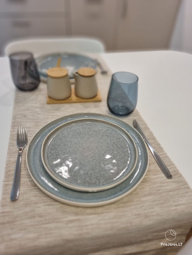 Newly renovated apartment for rent in Juodkrantė