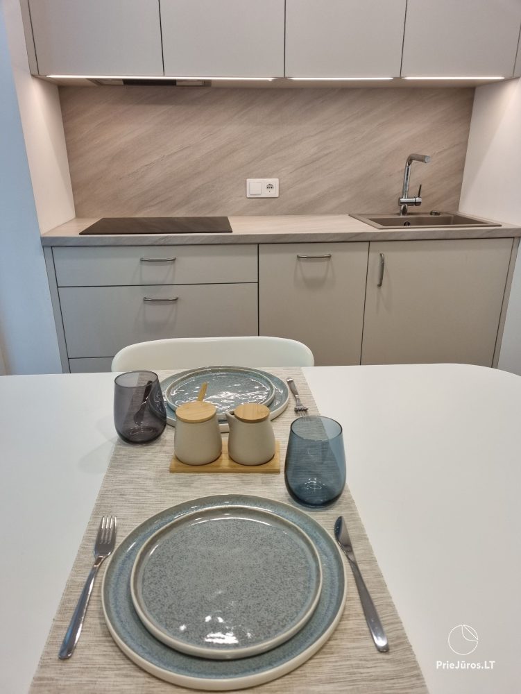 Newly renovated apartment for rent in Juodkrantė