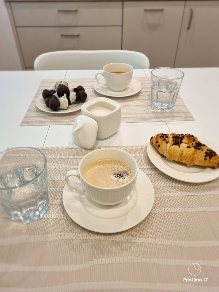 Newly renovated apartment for rent in Juodkrantė