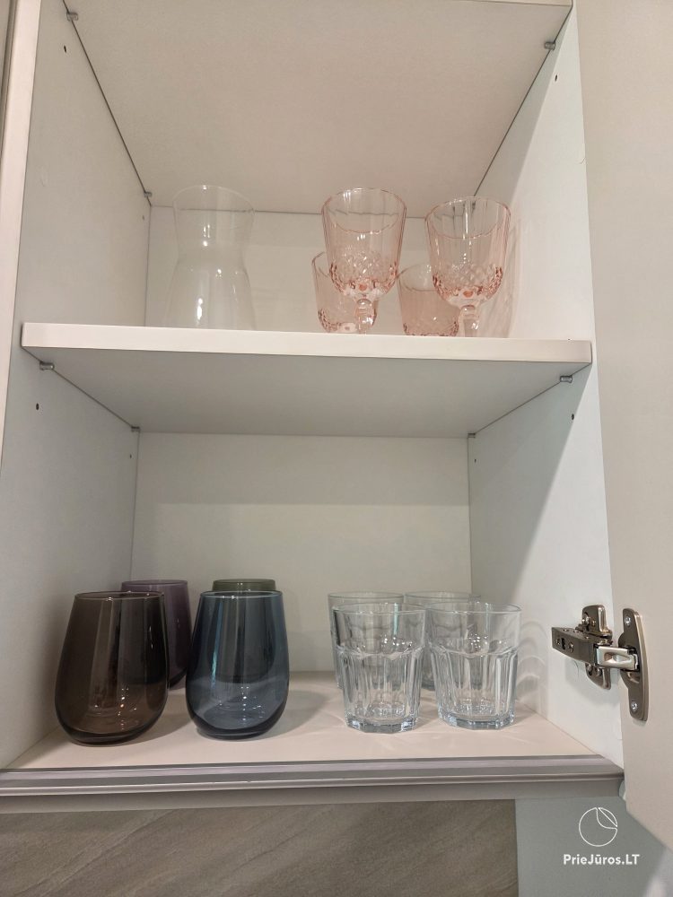 Newly renovated apartment for rent in Juodkrantė