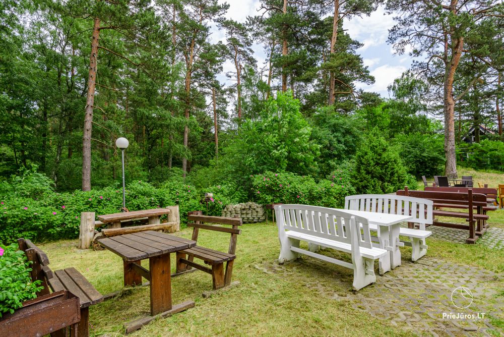 Cottage in Nida Fishmaster