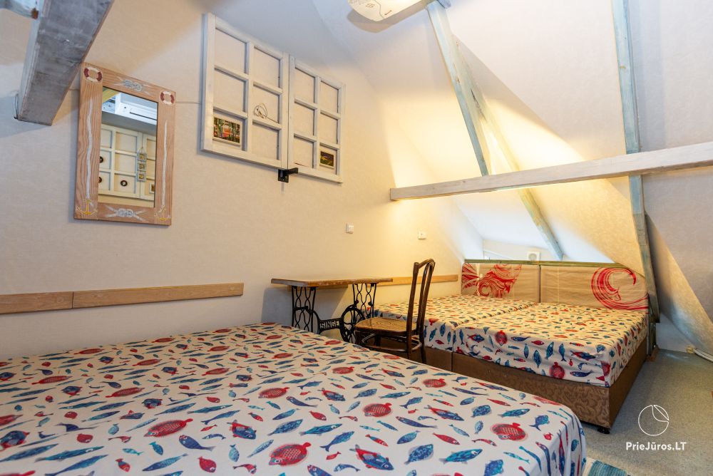 Cottage in Nida Fishmaster