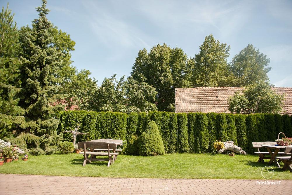 Villa “Miško namas” in Nida. Apartment rental