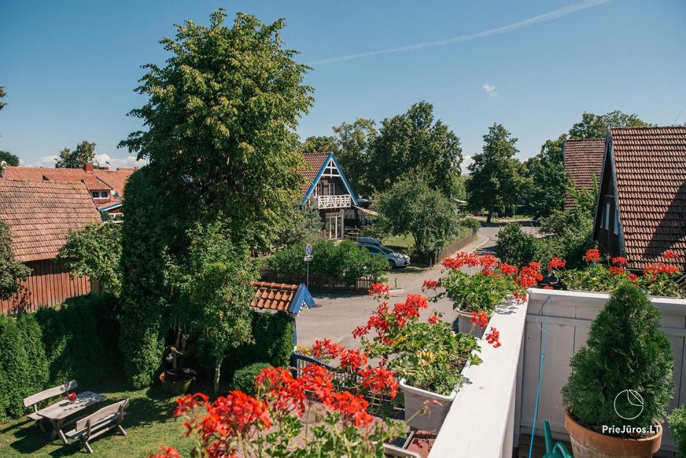 Villa “Miško namas” in Nida. Apartment rental