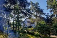 New apartments "Ežiukų rojus" in Preila and separate room rentals in a cottage