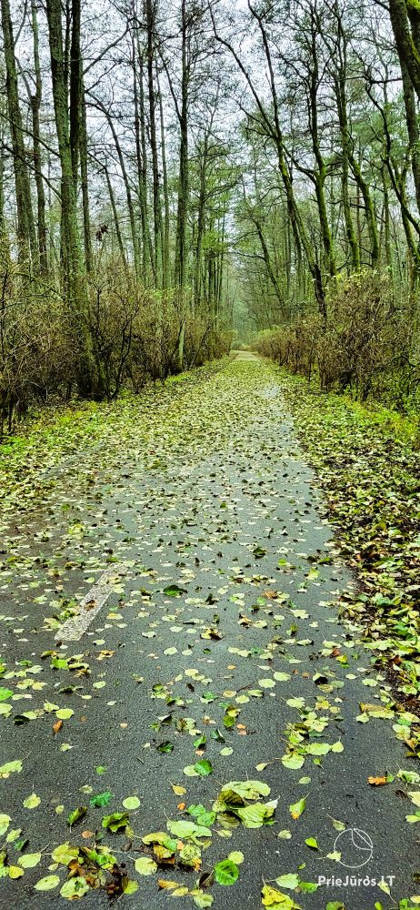 Новые апартаменты «Ežiukų rojus» в Прейле и аренда отдельных комнат в коттедже
