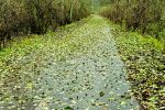 Новые апартаменты «Ežiukų rojus» в Прейле и аренда отдельных комнат в коттедже