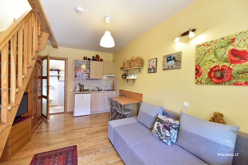 Double-room apartment with a separate entrance and terrace  (2+2) - Šokoladas