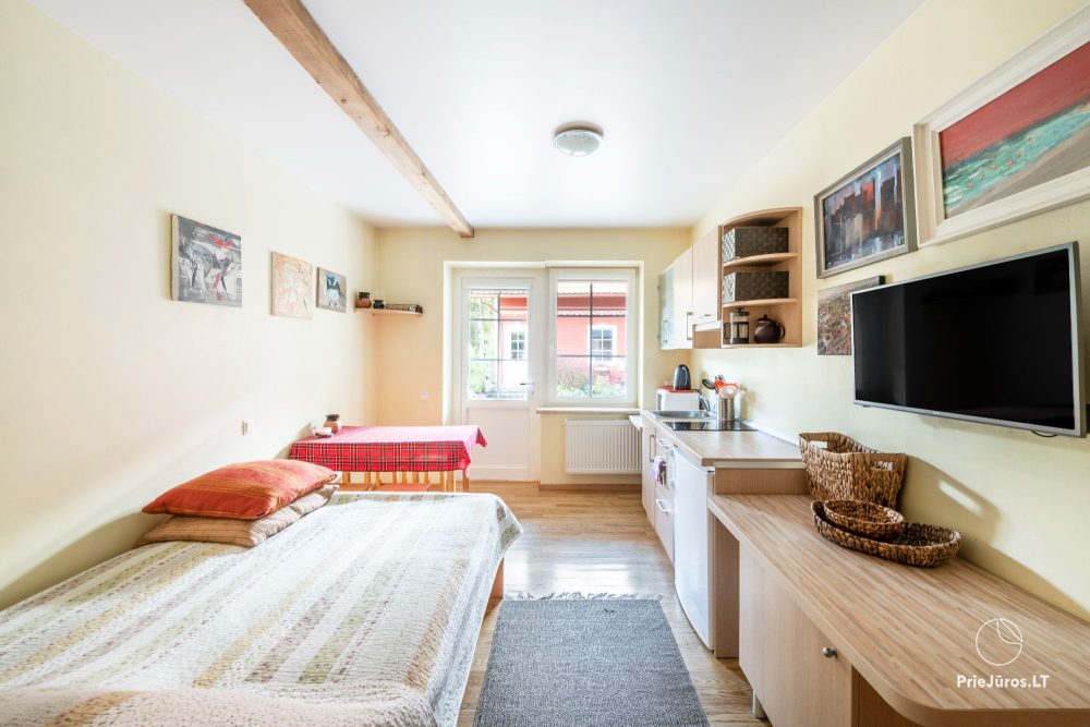 One-room apartment on the ground floor with a separate entrance and terrace (2+2) - Zefyras