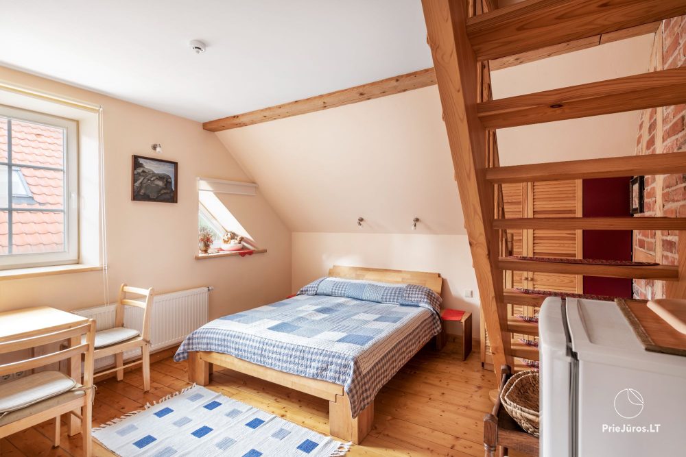 Two-room suite (2+2) - Biskvitas