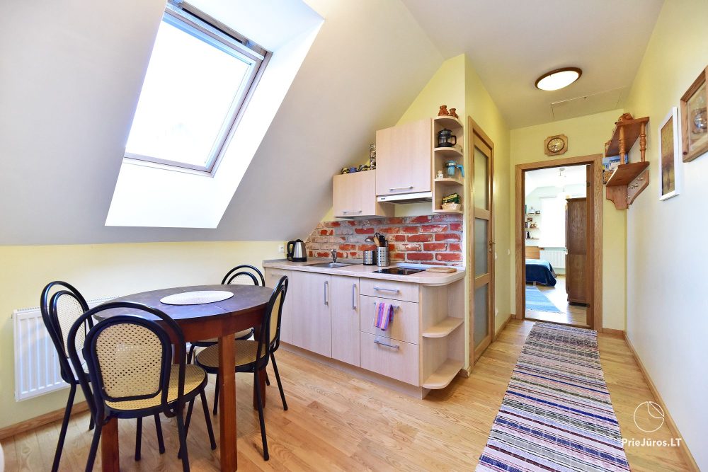 Double-room apartment on the 1st floor (2+2) - Pastilė