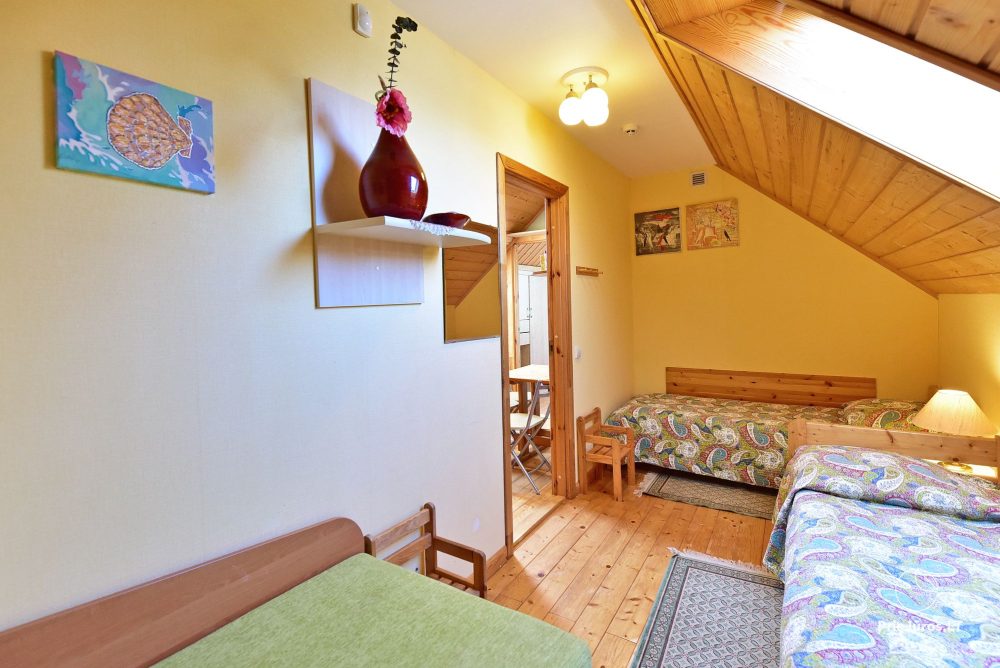 Double-room apartment on the 1st floor with a separate entrance (2+2) - Medus