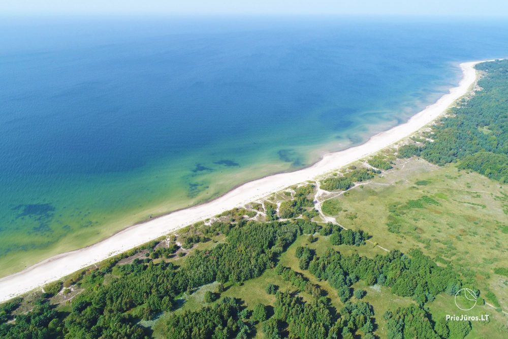 Apartments in Palanga in guest house Provincija