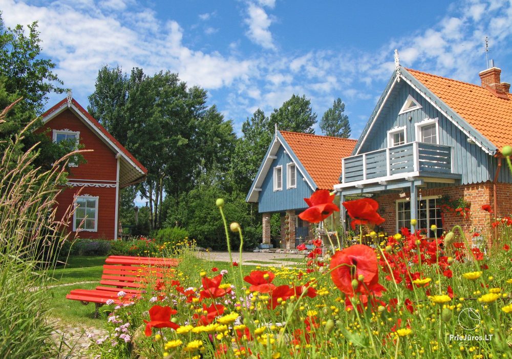 Apartments in Palanga in guest house Provincija