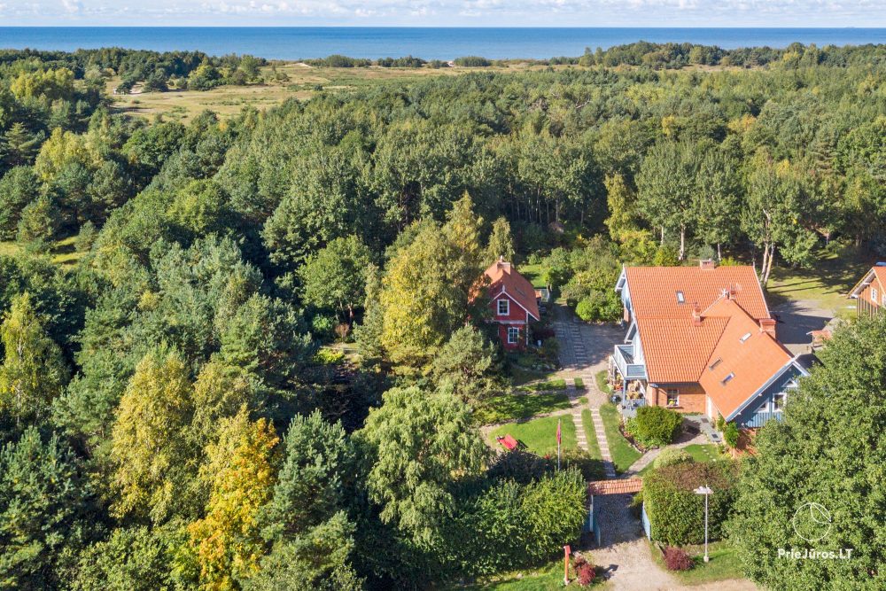 Apartments in Palanga in guest house Provincija