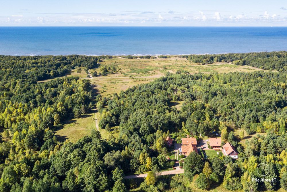 Apartments in Palanga in guest house Provincija
