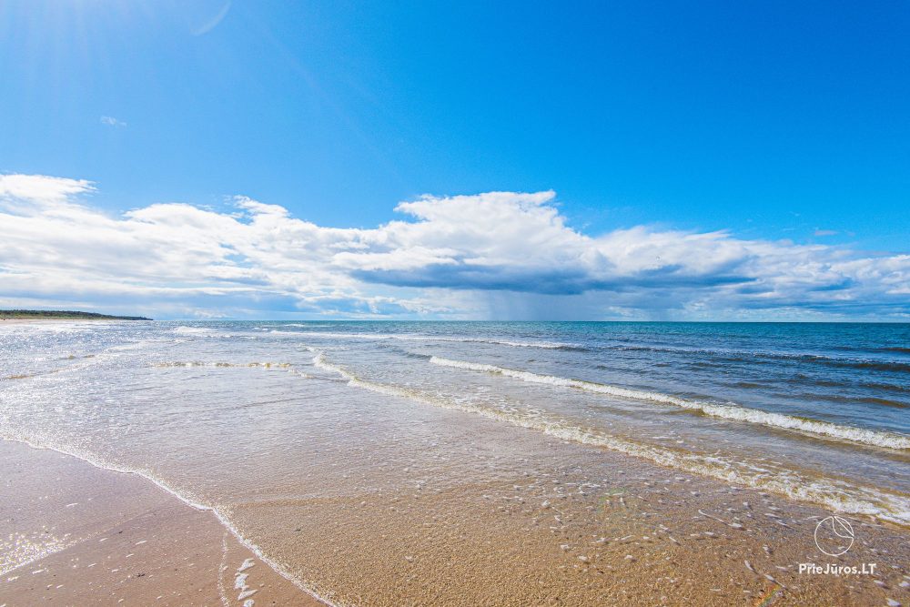 Apartments in Palanga in guest house Provincija