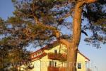 Guest House Osia - rooms, apartments 150 m to the dunes! - 6