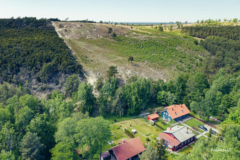 Two apartments with a yard and a hot tub in Preila