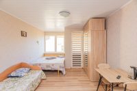 1 room flat with all amenities for rent in Sventoji