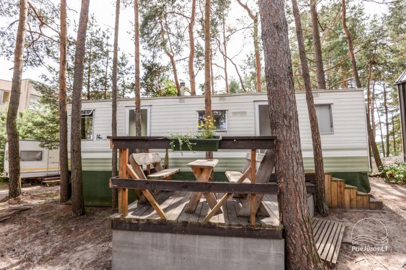 Juros 20 + - holiday houses for rent in Sventoji - 1