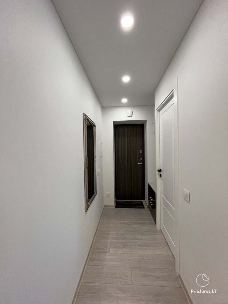 Modern and elegant three rooms apartment in the center of Nida