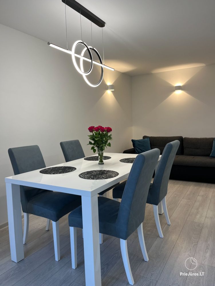 Modern and elegant three rooms apartment in the center of Nida