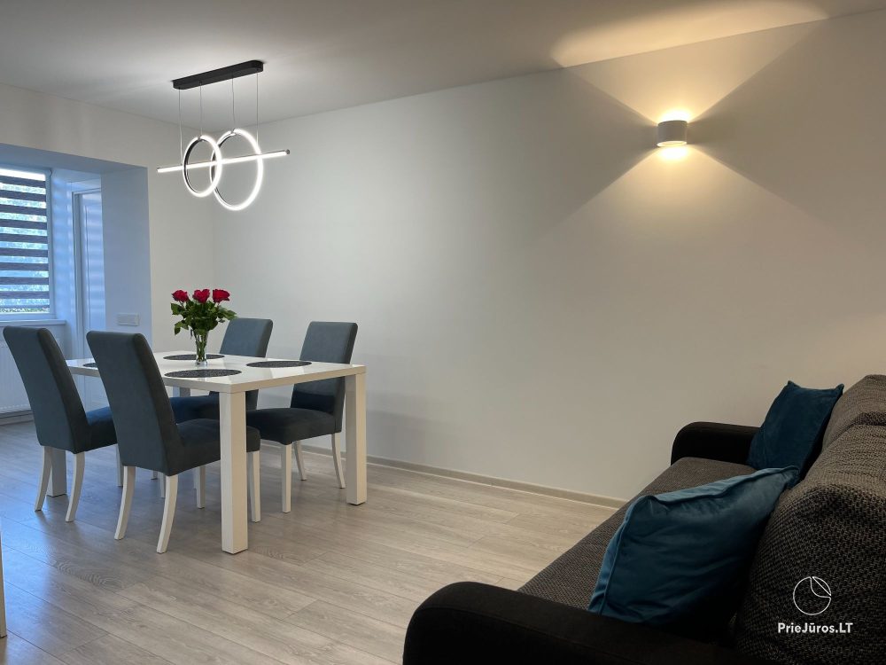 Modern and elegant three rooms apartment in the center of Nida