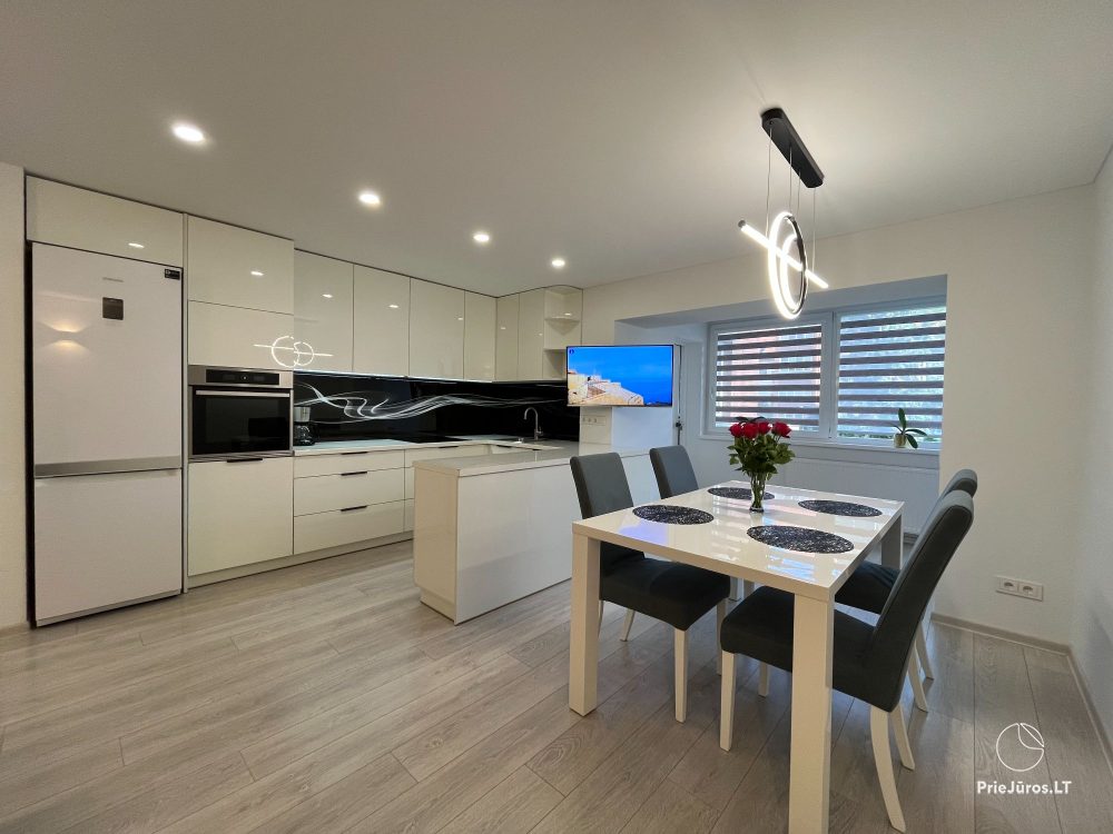 Modern and elegant three rooms apartment in the center of Nida