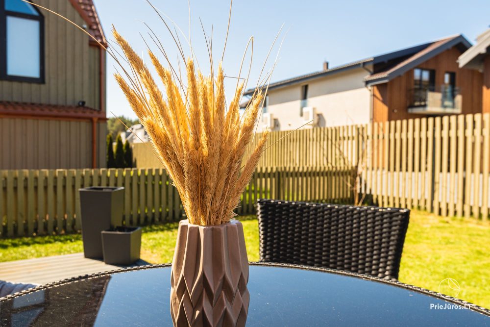 Zalia kopa apartments located 300 meters from the sandy beach