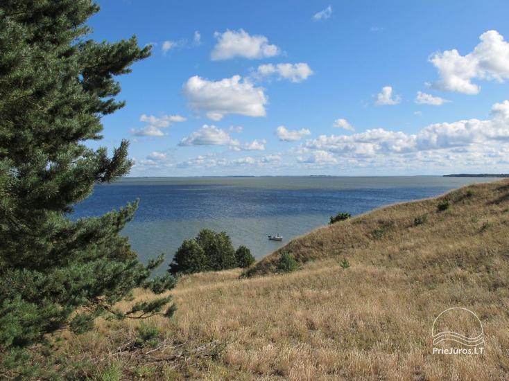 Only 0.5 mile to the beach! Apartment in Nida with the terrace in a pine forest - 1