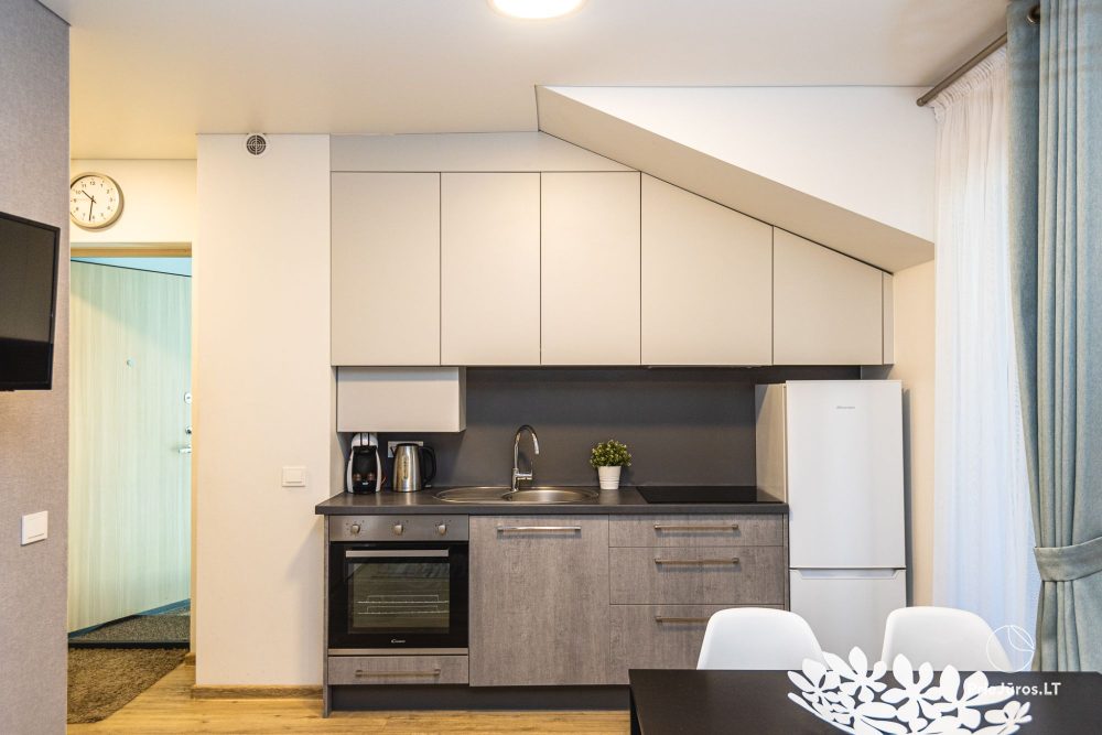 «Apartment in the dunes» - «Žalia kopa», 50 метров до моря