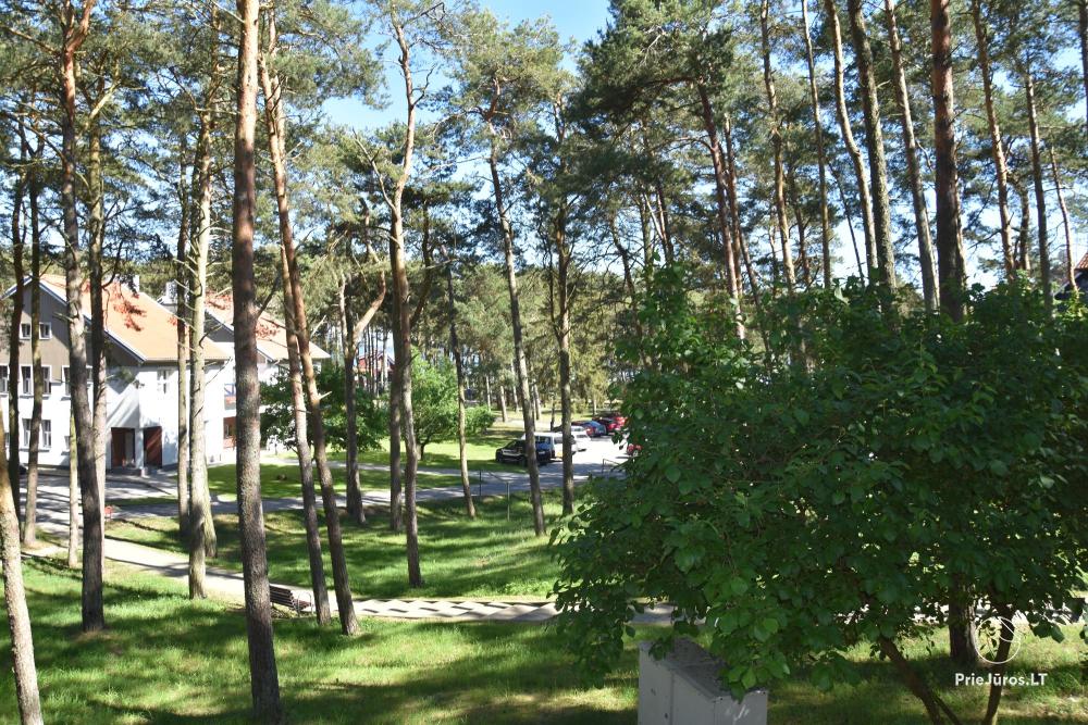 Apartment Pas Gintara in Nida, Curonian Spit, Lithuania