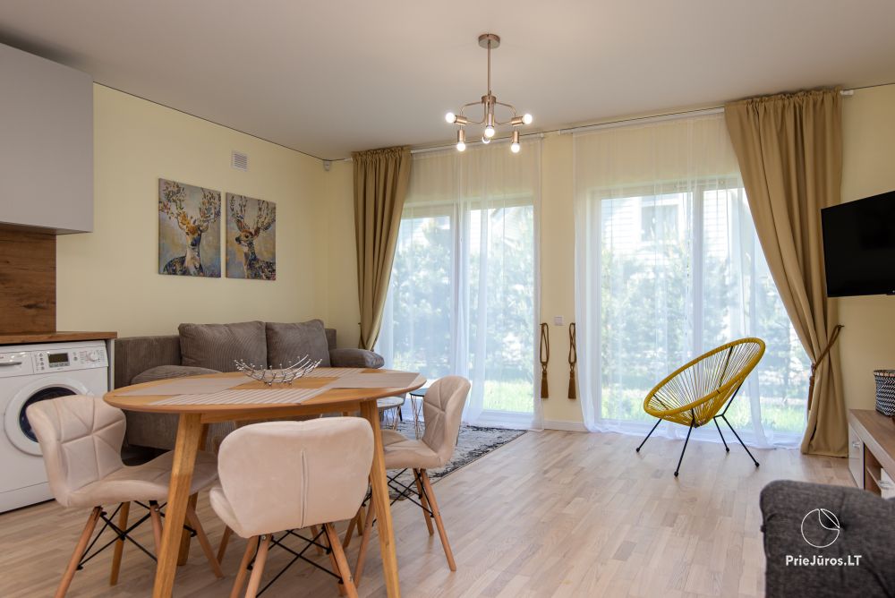 New house for rent 100 m to the dunes of the seaside