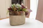 “S&M Vila” cottage by the sea