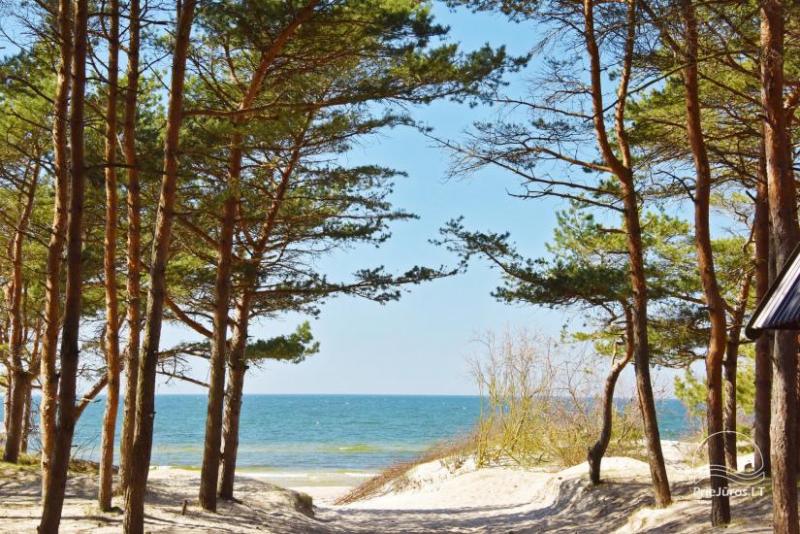 Calm rest near the sea in Kunigiskes!