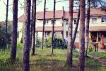 Apartment with terrace for rent in Nida - 5
